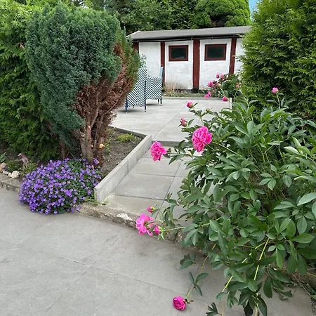 Apartment Stadtnah & Gruen Westparknaehe Zittau